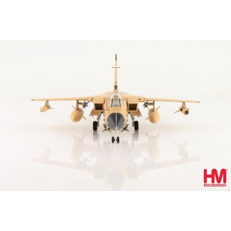 Hobby Master Tornado IDS GR1 RAF “Debbie” ZD790/D 31 Sqn Gulf War Bahrain 1991 "Operation Granby" 1:72 Scale HA6716