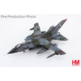 Hobby Master Tornado GR.1 ZA585 Royal Air Force No. 617 Sqn. Dambusters 1:72 Scale HA6719