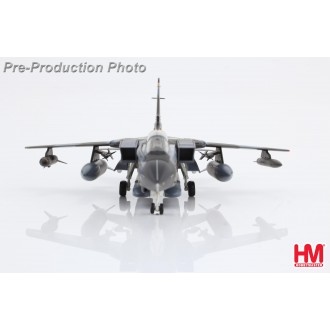 Hobby Master Tornado GR.1 ZA585 Royal Air Force No. 617 Sqn. Dambusters 1:72 Scale HA6719