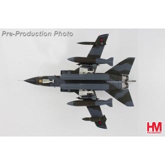 Hobby Master Tornado GR.1 ZA585 Royal Air Force No. 617 Sqn. Dambusters 1:72 Scale HA6719