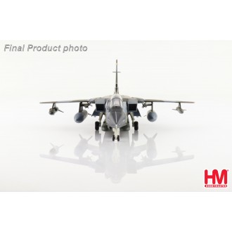 Hobby Master Tornado GR.1 ZA585 Royal Air Force No. 617 Sqn. Dambusters 1:72 Scale HA6719